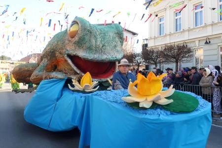 PUSTNI KARNEVAL PUSTOLETJE 66 FOTO LJUBO VUKELIČ